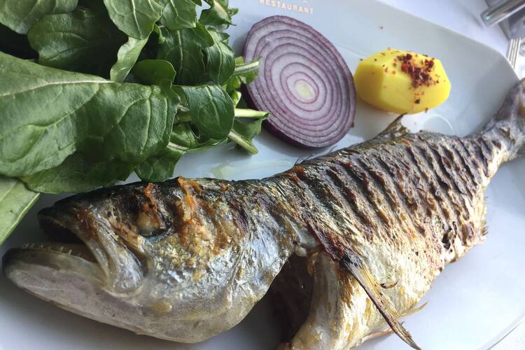 Bogazici Restaurant Photos Pictures Of Bogazici Restaurant Balcova Izmir